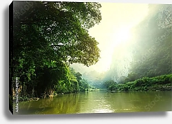Постер Тропическая река, Лаос