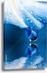 Постер Синий лепесток с каплями