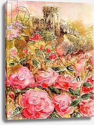 Постер Смит Мэри (совр) Roses in Windsor gardens