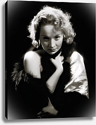Постер Dietrich, Marlene (Dishonored)