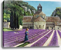Постер Нил Тревор (совр) Lavender Picker, Abbaye Senanque, Provence