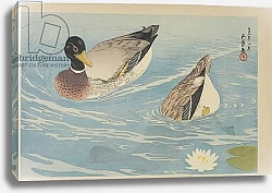 Постер Хасигути Гоё Ducks, August 1920