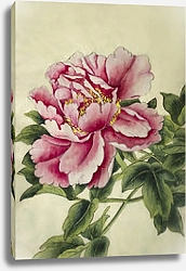 Постер Большой розовый цветок пиона