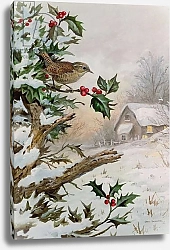 Постер Даннер Карл (совр) Wren in Hollybush by a cottage