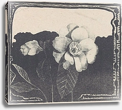 Постер Мескита Сэмюэль Camelia, links een bloem in knop