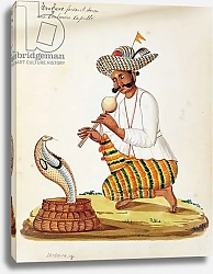 Постер Школа: Индийская 18в An Indian Snake Charmer with a Cobra, from a French album of drawings
