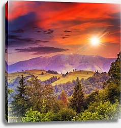 Постер Хвойный лес на крутом склоне горы на закате