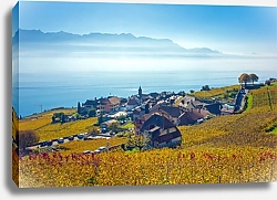 Постер Швейцария. Осенние виноградники долины Лаво №2