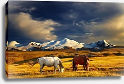 Постер Россия, Алтай. Осенний пейзаж с двумя лошадьми