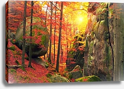 Постер Камни в осеннем лесу