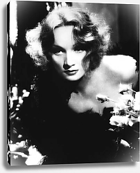 Постер Dietrich, Marlene 3