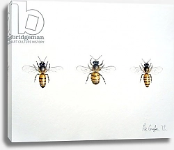 Постер Графтон Эле (совр) Three Bees, 2012