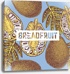 Постер Плоды хлебного дерева