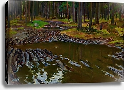 Постер Сабатовский Амвросий Mud in the Forest
