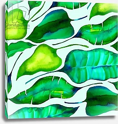 Постер Уотсон Эндрю (совр) Tropical leaves, 2018