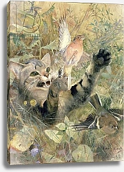 Постер Лильефорс Бруно A Cat and a Chaffinch, 1885
