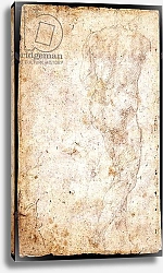 Постер Микеланджело (Michelangelo Buonarroti) Study of a Male Nude