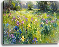 Постер Glade blooms with irises