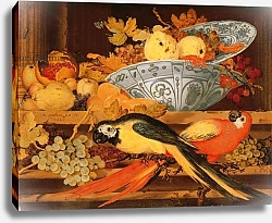 Постер Аст Балтазар Still Life with Fruit and Macaws, 1622