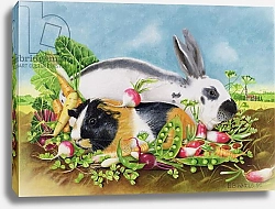 Постер Уоттс Э. (совр) Rabbit and Guinea Pig, 1998