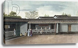 Постер Школа: Китайская 19в. Drying tea leaves