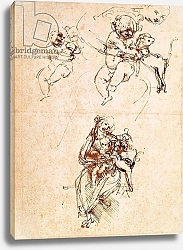 Постер Леонардо да Винчи (Leonardo da Vinci) Studies for a Madonna with a Cat, c.1478-80