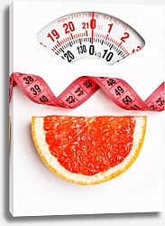 Постер Долька грейпфрута на весах