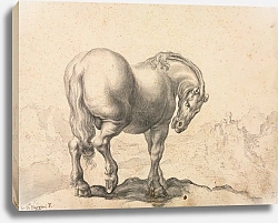 Постер Фоггини Джованни Study of a Stallion