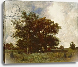 Постер Дюпре Жюль Fontainebleau Oak, c.1840