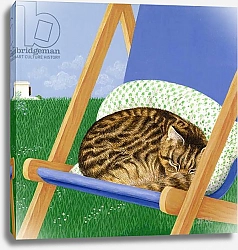 Постер Фристоун Джоан (совр) Tabby cat asleep in a deck chair