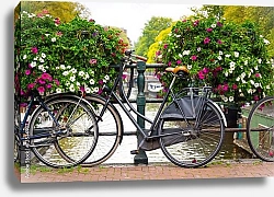 Постер Голландия, Амстердам. Цветы и велосипеды у канала №2