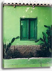Постер Зеленый дом с кактусами