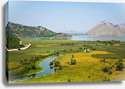 Постер Черногория. Скадарское озеро 4