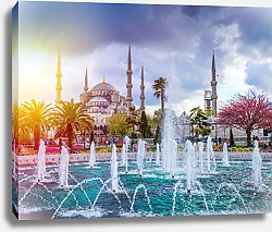 Постер Турция, Стамбул. Голубая мечеть и фонтан