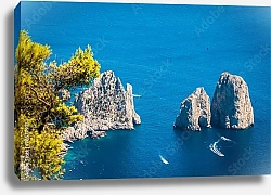 Постер Италия. Капри. Скалы и море