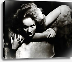 Постер Dietrich, Marlene 9