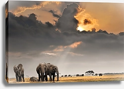 Постер  Африканский закат со слонами