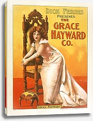 Постер Неизвестен Dick Ferris presents The Grace Hayward Co