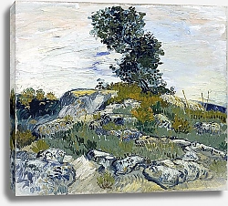 Постер Ван Гог Винсент (Vincent Van Gogh) Скалы с дубом, 1888