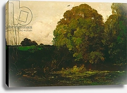 Постер Добиньи Шарль A Pond in the Morvan, 1869