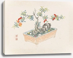 Постер Неизвестен Bonsai kabenzu, Pl.12