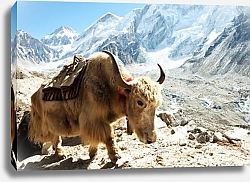 Постер Як в горах Непала 2