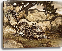 Постер Барье Антуан A Python Killing a Tiger