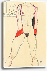 Постер Шиле Эгон (Egon Schiele) Female Torso; Weiblicher Torso, 1913