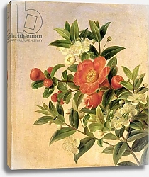 Постер Дженсен Йоханн Flowers, 1835