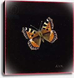 Постер Клейзер Амелия (совр) Small tortoiseshell butterfly, 1998