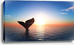 Постер Хвост кита 2