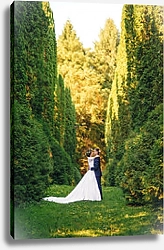 Постер Очаровательная пара, в зелёной аллее в день их свадьбы