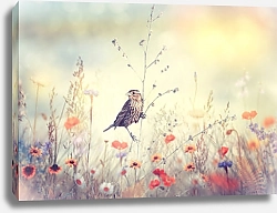 Постер Поле с дикими цветами и птицей