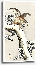 Постер Орел на ветке дерева (1887 - 1930)